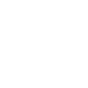 Violofe logo